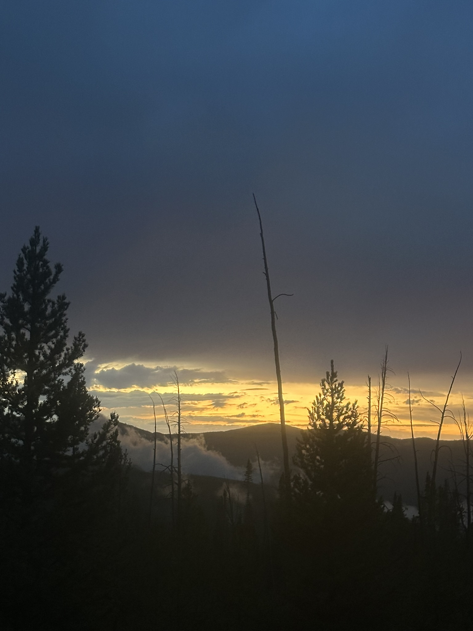 Yellowstone And Grand Teton National Parks - Image 1217